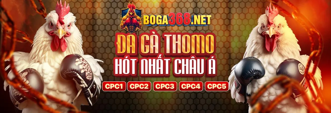 Đá gà trực tuyến kịch tính tại cwin333 link mới